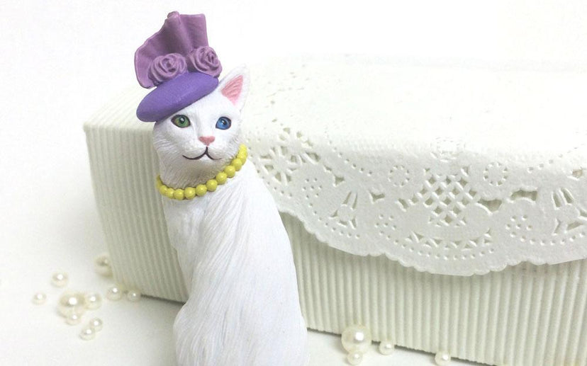Amy's Favorite Cat