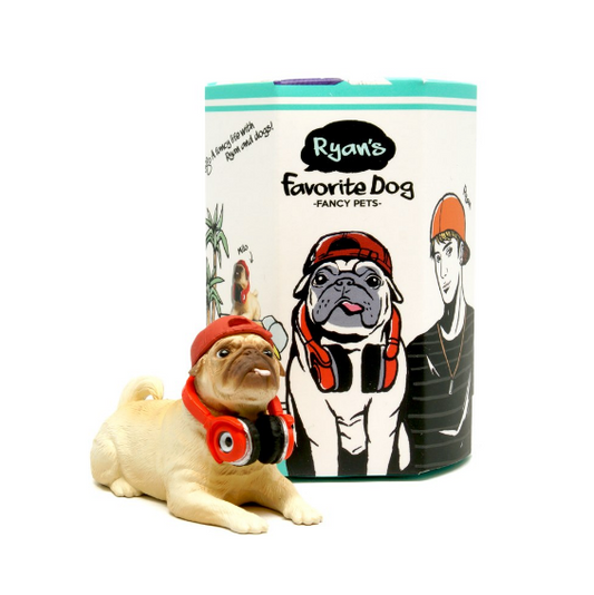 Ryan's Favorite Dog
