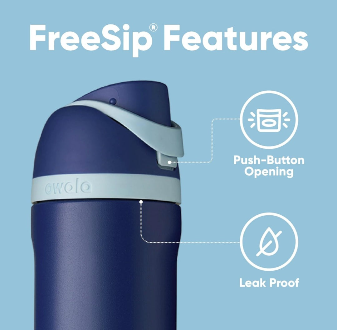 Owala Harry Potter FreeSip Insulated Stainless Steel Water Bottle with Straw